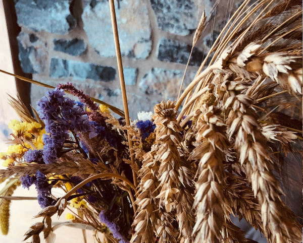 grains in vase